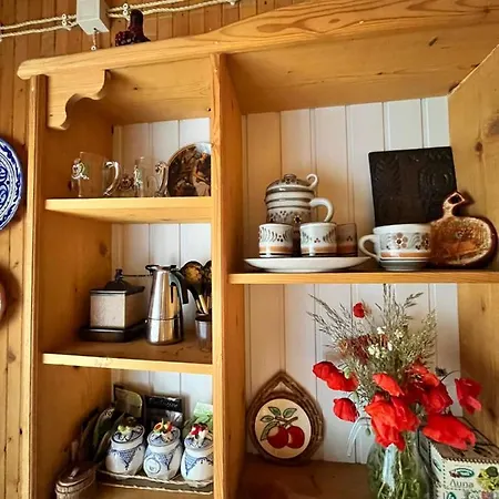 Lodge House Girska Rika *